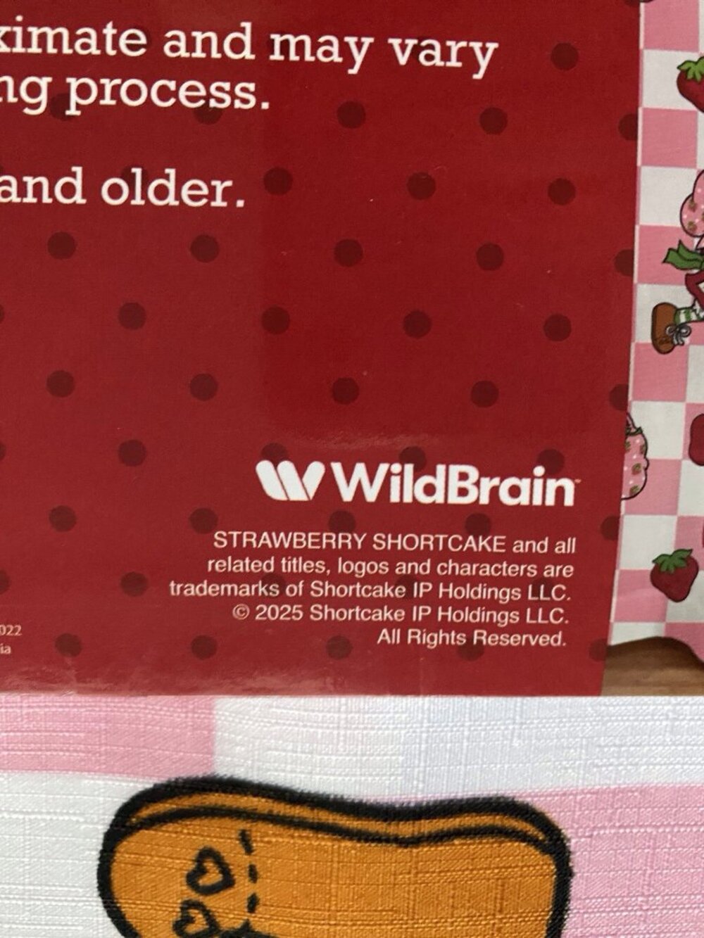 13 Piece Set Strawberry Shortcake Shower Curtain Set And Metal Hooks 72 X 72 NEW - Picture 11 of 13